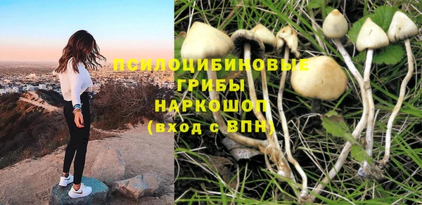 дмт Алексин