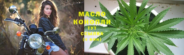 дмт Алексин