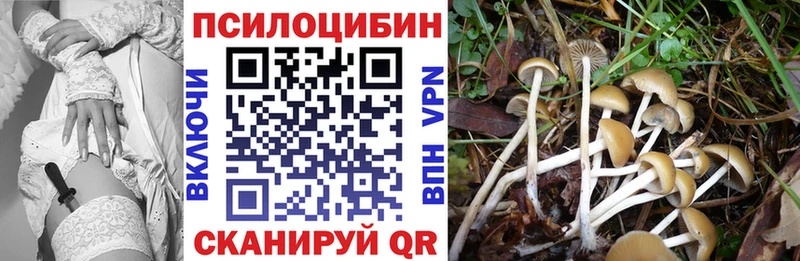 Псилоцибиновые грибы ЛСД  Находка 